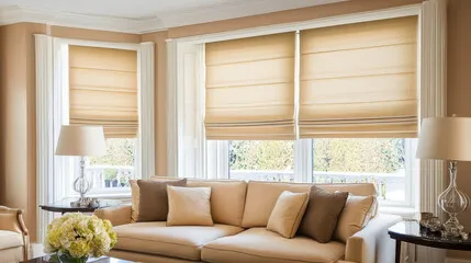 Roman Shades Main image