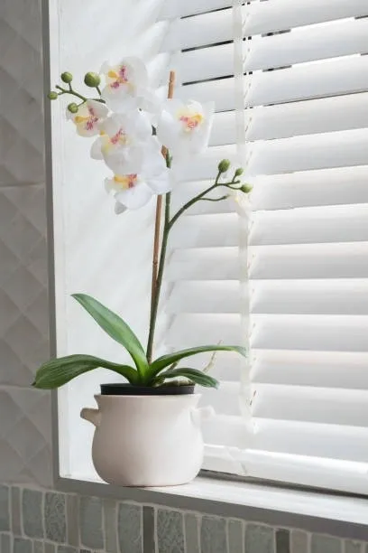 Shutters