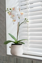 Shutters